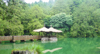 阿里山日月潭恬閒消遙遊